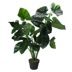 Kirkland's Home Wide Leaf Taro Plant With Moss- Trees & Topiaries