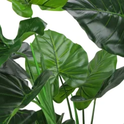 Kirkland's Home Wide Leaf Taro Plant With Moss- Trees & Topiaries