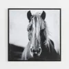 Kirkland's Home Wild Horse Framed Canvas Art Print- Framed Art
