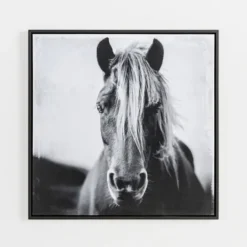 Kirkland's Home Wild Horse Framed Canvas Art Print- Framed Art