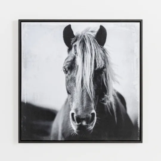 Kirkland's Home Wild Horse Framed Canvas Art Print- Framed Art