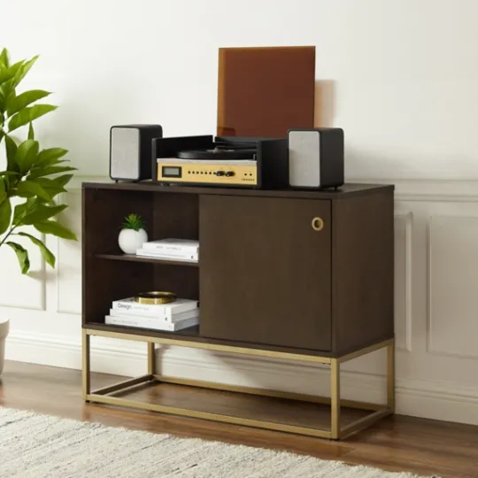 Kirkland's Home Wood And Gold Record Storage Media Cabinet- Tv Stands & Media Consoles