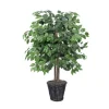 Kirkland's Home Wood Trunk Ficus Bush In Rattan Basket- Trees & Topiaries