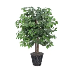 Kirkland's Home Wood Trunk Ficus Bush In Rattan Basket- Trees & Topiaries