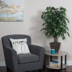 Kirkland's Home Wood Trunk Ficus Bush In Rattan Basket- Trees & Topiaries