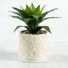 Kirkland's Home Yucca Plant In Ceramic Planter- Arrangements & Greenery