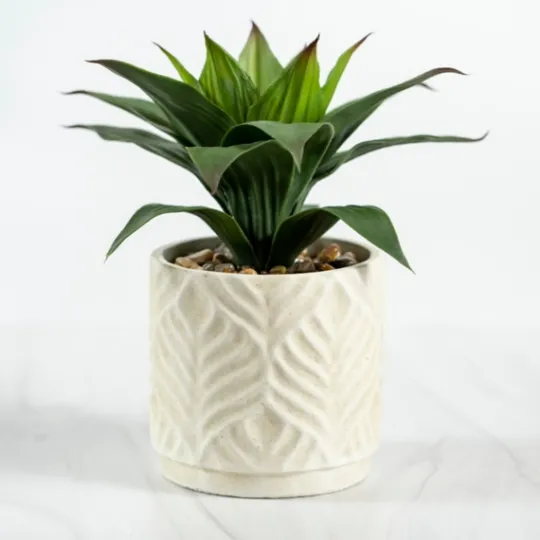 Kirkland's Home Yucca Plant In Ceramic Planter- Arrangements & Greenery
