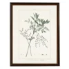Kirkland's Home Zanthorhiza Greenery Black Beaded Framed Art Print- Framed Art