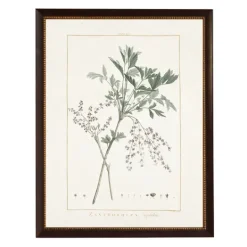 Kirkland's Home Zanthorhiza Greenery Black Beaded Framed Art Print- Framed Art
